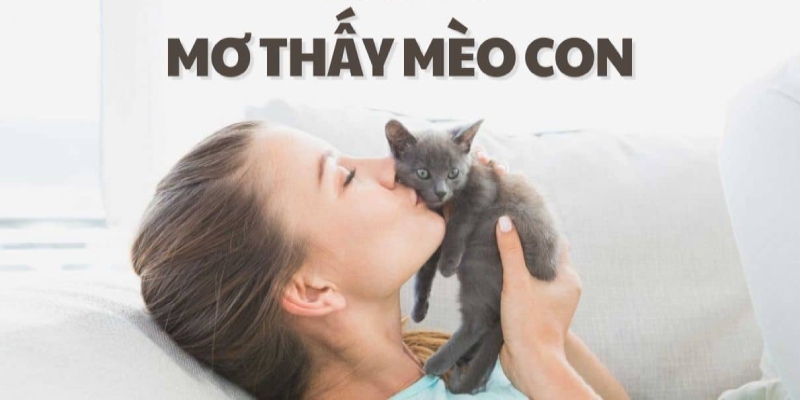 Nằm mơ thấy mèo đánh số mấy?